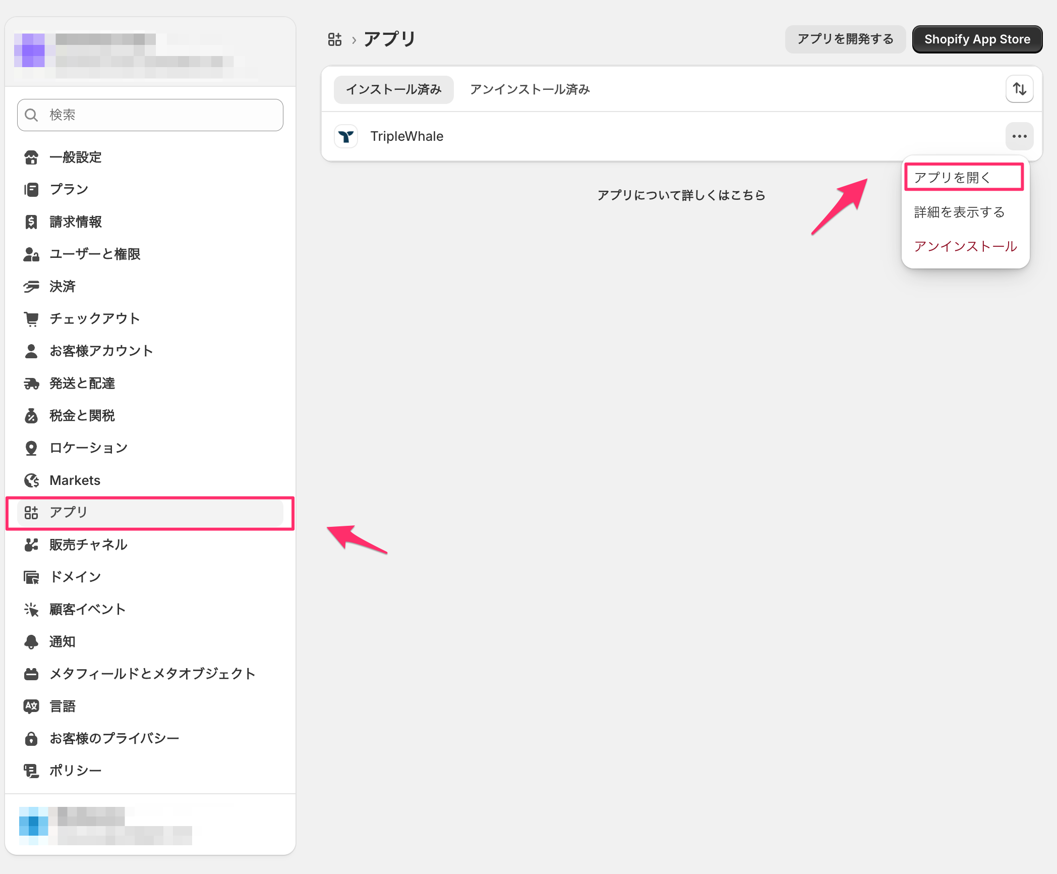 Shirofune_TripleWhale_1.png